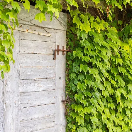 Cangeli By Posarellivillas Arezzo